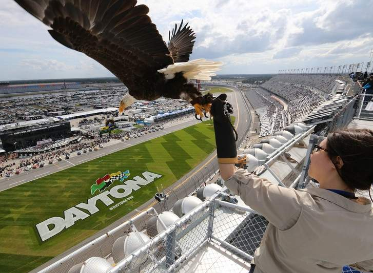 Challenger Soars Over Daytona International Speedway