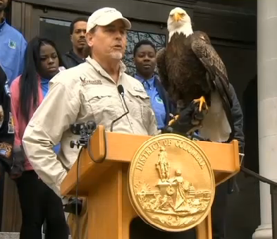 D.C. Joins Push for American Eagle Day
