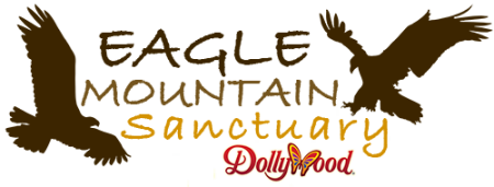 Eagle Mountain Sanctuary | American Eagle Foundation