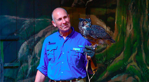 Wildlife Show” – Birds of Prey