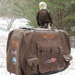 Nat Geo Wild’s ‘We Move Animals’ Features Eagle Challenger