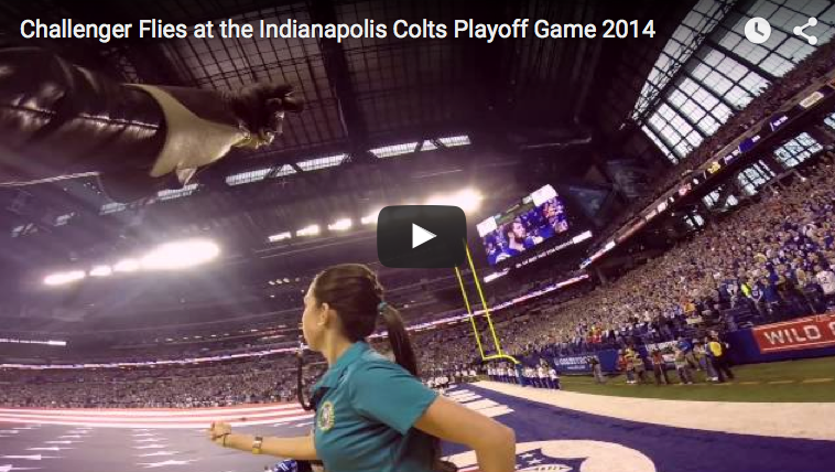 Indianapolis Colts vs. Kansas City Chiefs NFL Playoff Game