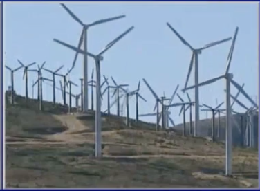 Dangers to Bald and Golden Eagles from Wind Turbines