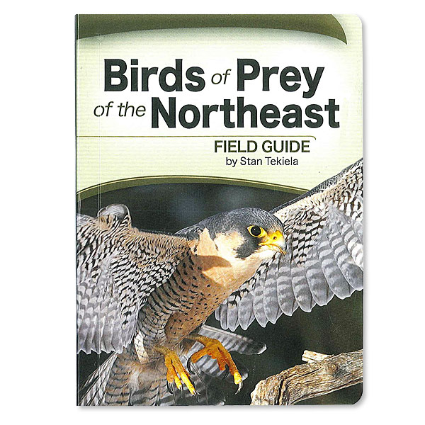 Field Guide - Birds of Prey