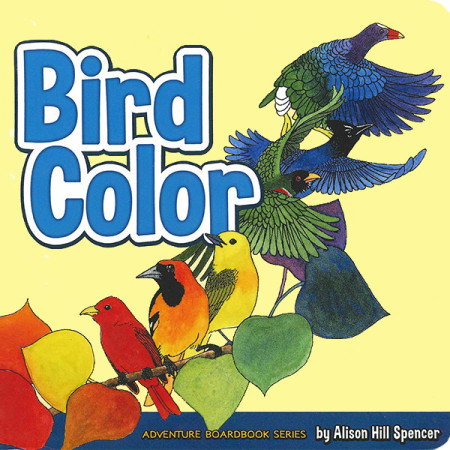 Bird Color - Alison Hill Spencer