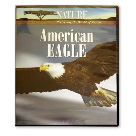 American Eagle