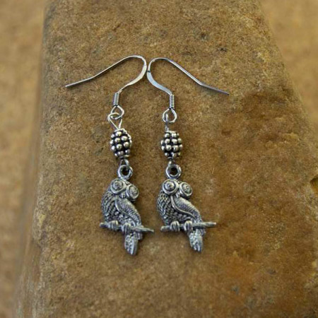 Owl Earrings