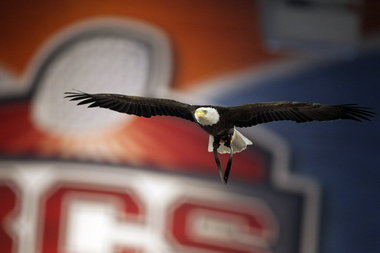 BCS National Championship: The Eagle Has Not Landed in Auburn