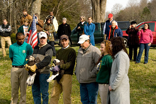 Rehabilitated Bald Eagles Released on Tennessee River