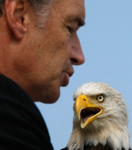 Delisting Bald Eagle