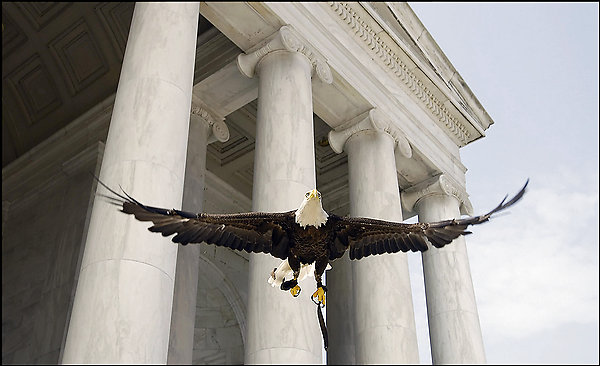 Challenger flies during ceremony that delisted Bald Eagle from threatened & endangered species list.