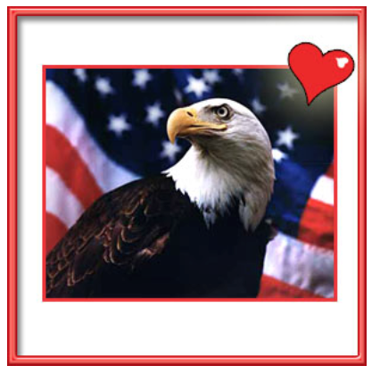 AEF Prepares for Bald Eagle’s June 2007 Delisting by Offering Unique Valentine’s Day Gift