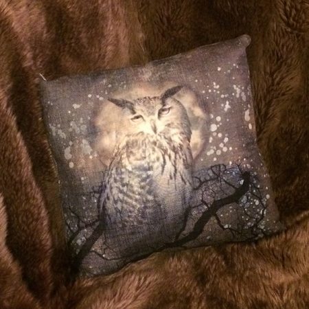 Owl Decorative Pillow