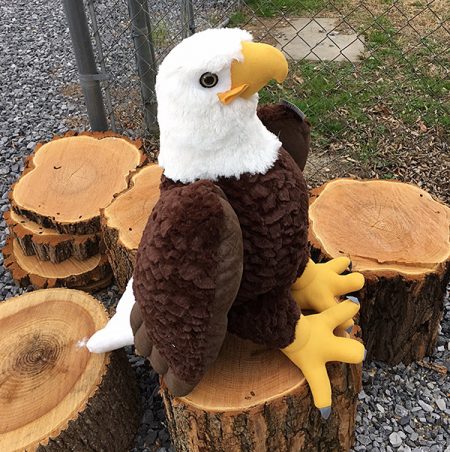 Plush Eagle Toy - Supersized!