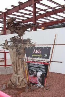 Tribal Eagle Aviaries in the Southwest Reflect the Spirit of the Ages
