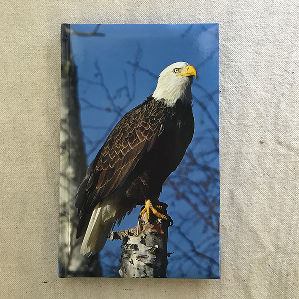 Notebook – Eagle Journal | American Eagle Foundation