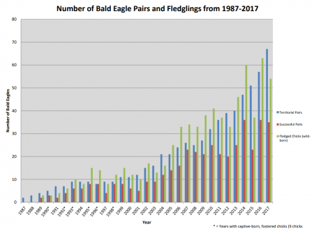 Bald Eagle Decline & Recovery | American Eagle Foundation