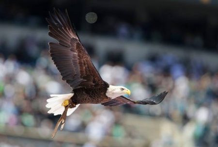 Challenger soars over a field-sized American flag during the National Anthem at Lincoln Financial Field
