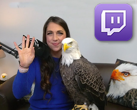 AEF Launches Twitch Channel