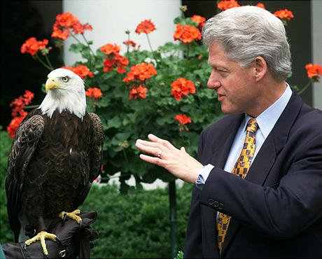white house seal eagle