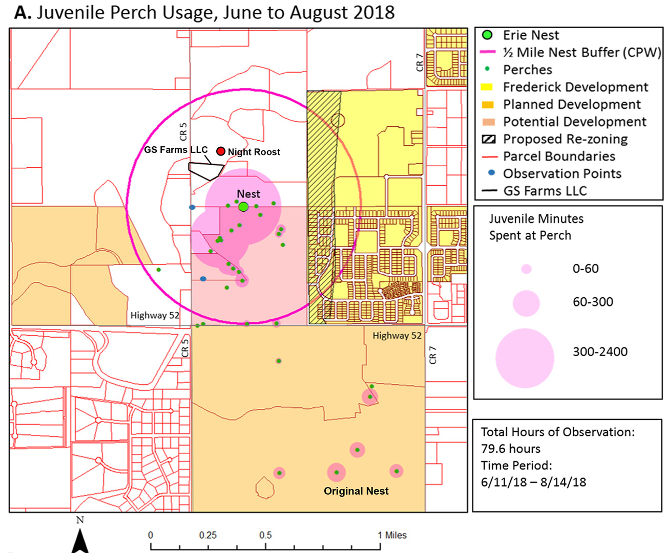 Call To Action A Bald Eagle Nest in Colorado Needs Our Help
