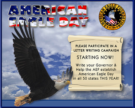 June 20, 2019 is American Eagle Day