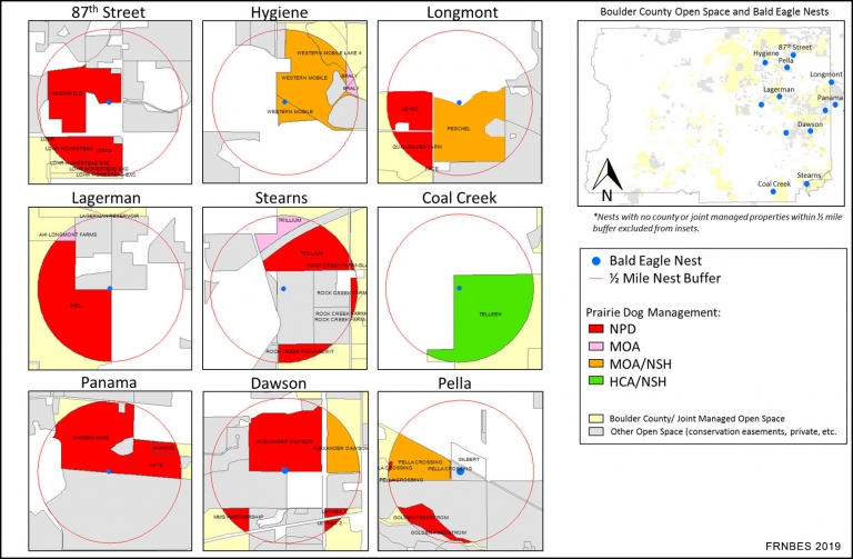 Colorado Front Range Eagle Nests Need Immediate Help American Eagle