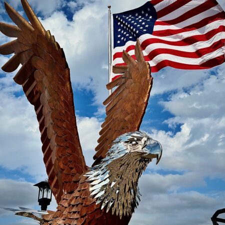 american eagle tours