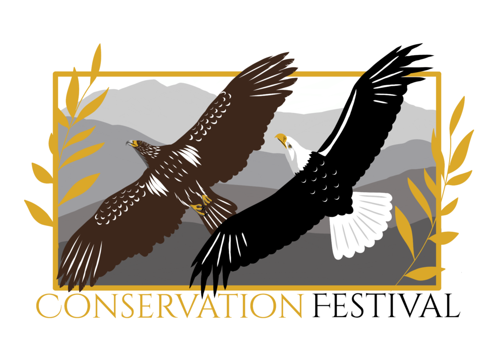 Conservation Festival | American Eagle Foundation