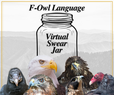 Virtual Swear Jar