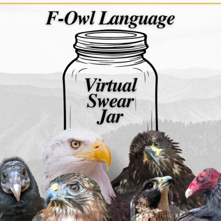 Virtual Swear Jar